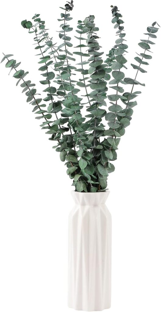 A bunch of dried green eucalyptus stems arranged in a simple white ceramic vase against a neutral background.