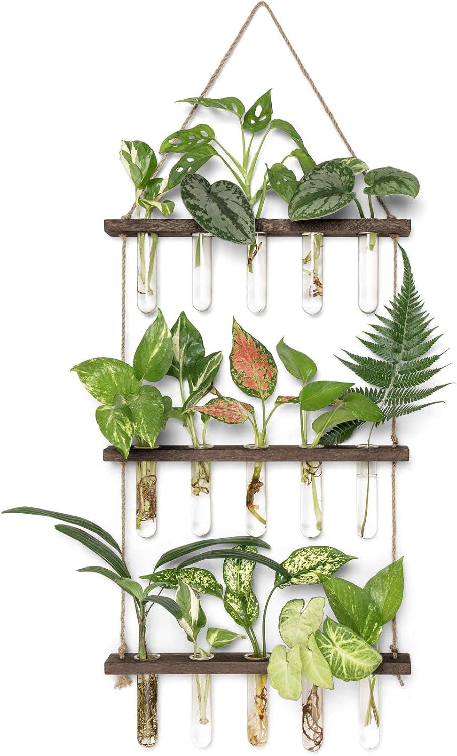 Vertical wall planter with small green herbs, a space-saving Amazon garden finds spring solution.